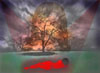 Click to Preview