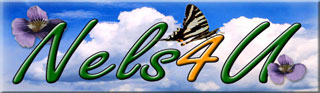 Nels4u Logo